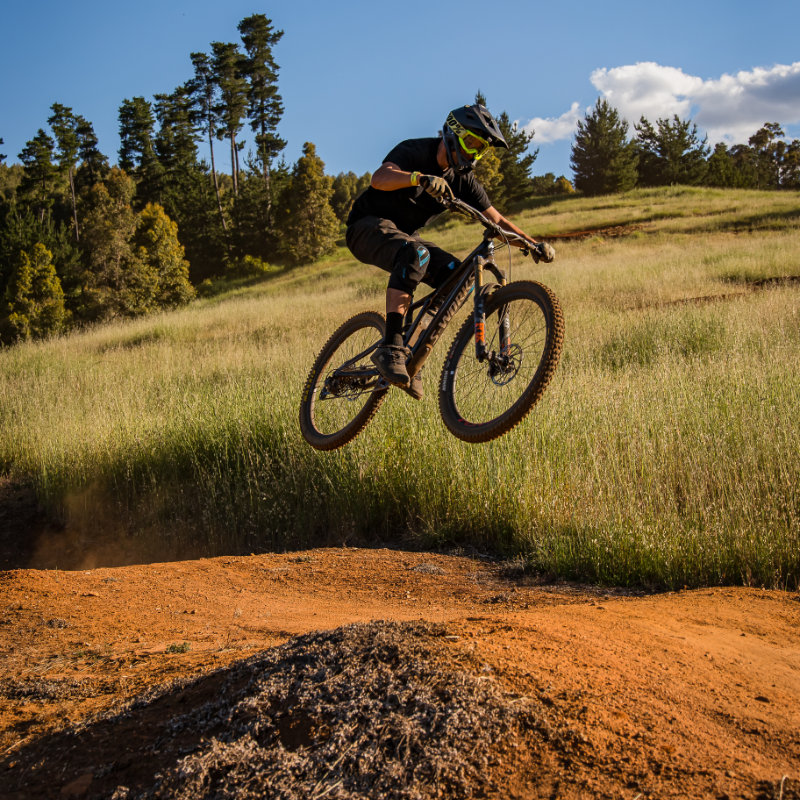 Public Gravity Days